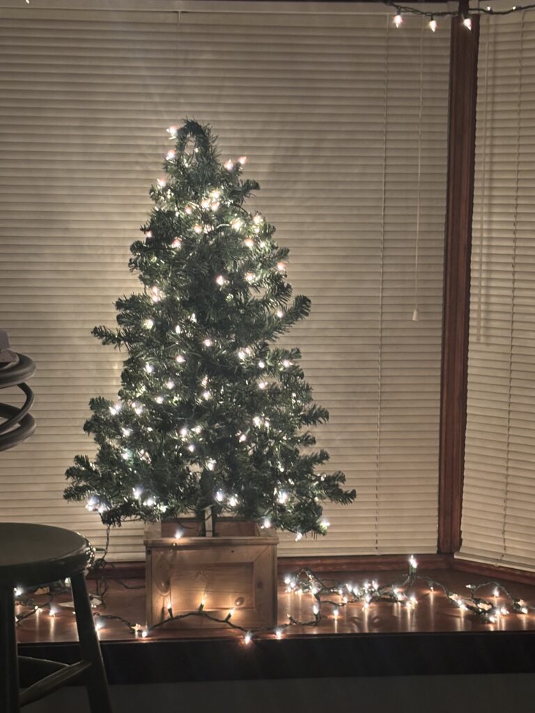 Kate's Christmas Tree