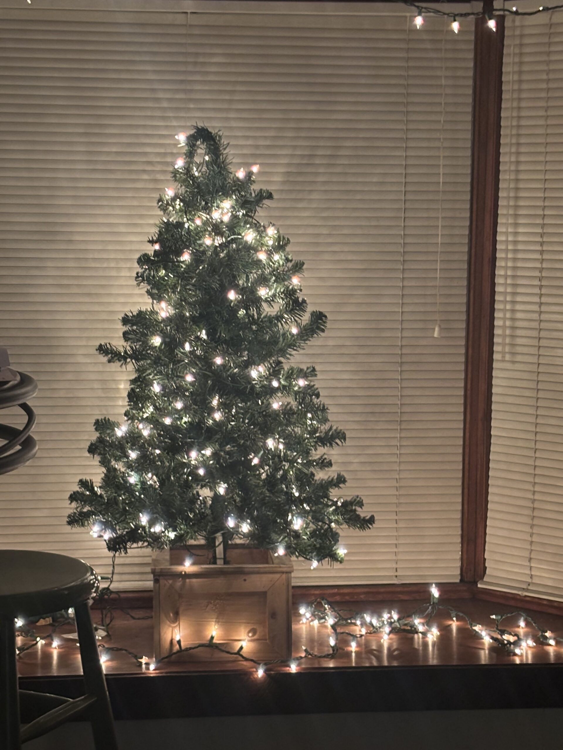 Kate's Christmas Tree